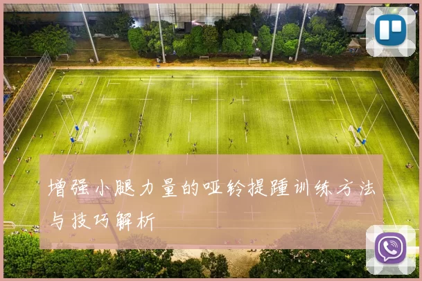 增强小腿力量的哑铃提踵训练方法与技巧解析