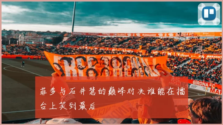 菲多与石井慧的巅峰对决谁能在擂台上笑到最后