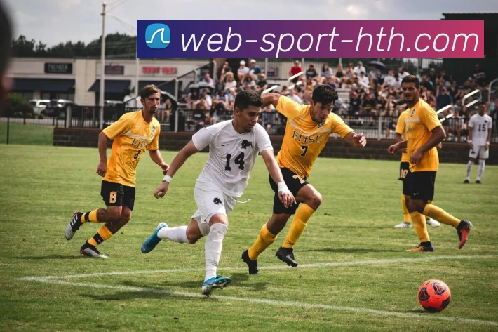 华体会服务体系